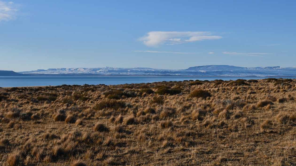 Estepa patagónica